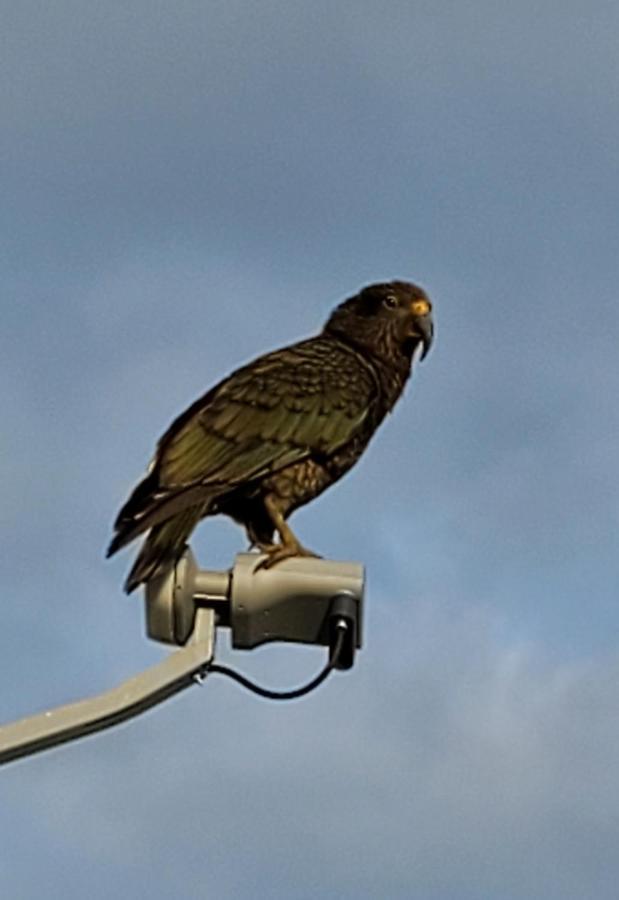 フランツ・ジョゼフ Kea Retreatヴィラ エクステリア 写真